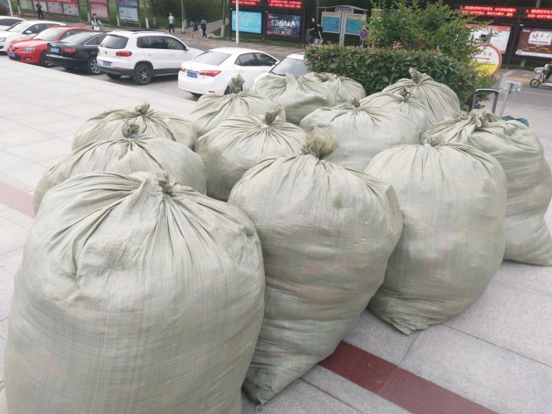 成人影片