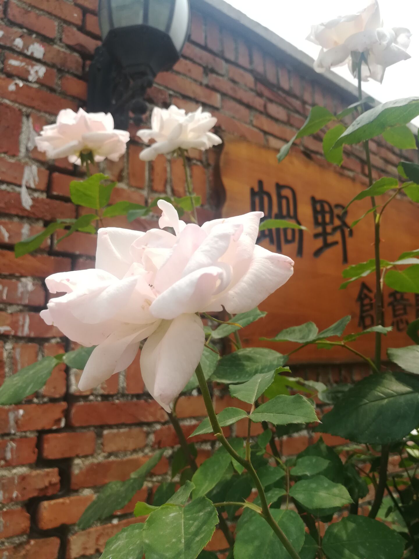 成人影片